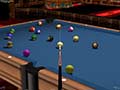 simulates pool on your computer with full 3-D environment and perfect  3D sound.